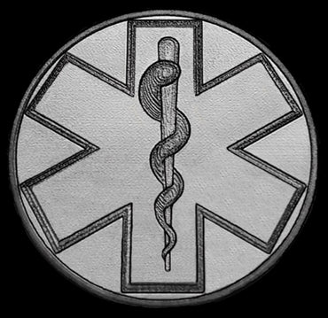 Engraved Watch Band for Garmin Fenix 7X Pro 6X Pro 5X Plus Fenix 3 Descent Mk3i 51mm Mk2i Mk2 Mk1 Enduro 2 Black St Steel Strap MS2-A26